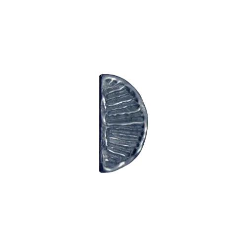 Half moon HOLLYWOOD 75x37mm